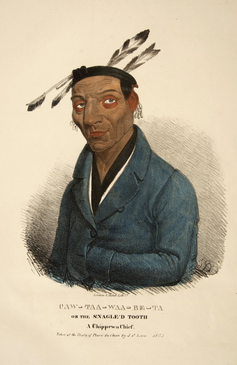 Caw-taa-waa-be-ta oder der Hakenzahn von James Otto Lewis