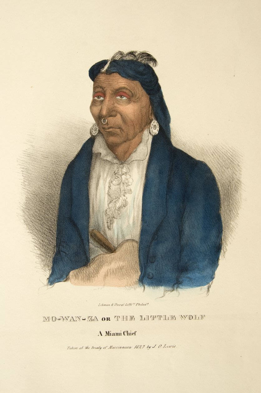 Mo-wan-za oder Der Kleine Wolf von James Otto Lewis