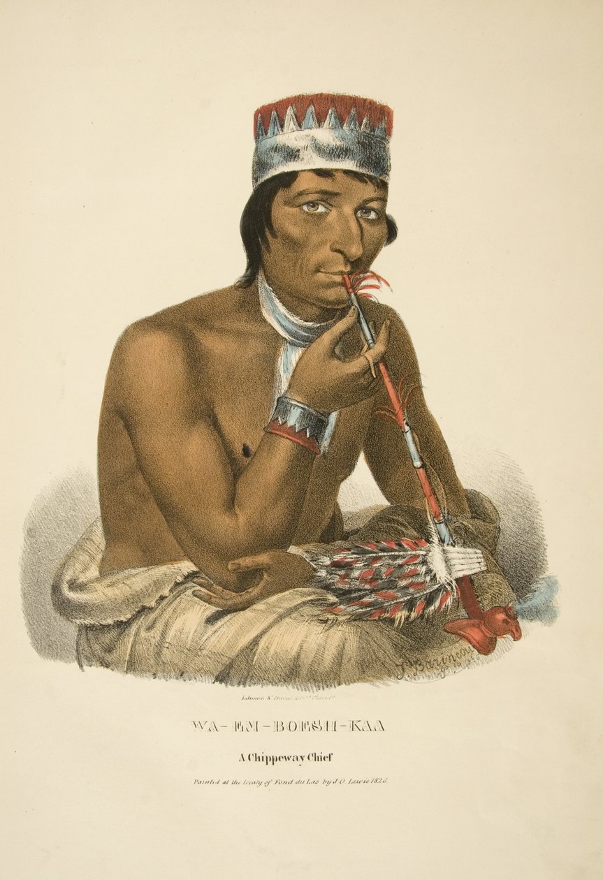 Wa-em-boesh-kaa von James Otto Lewis