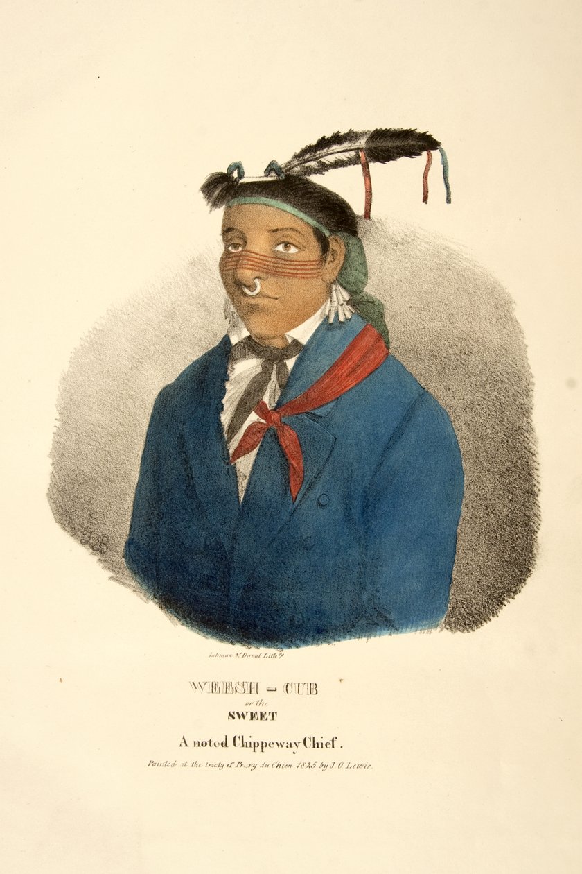 Weesh-cub oder der Süße von James Otto Lewis