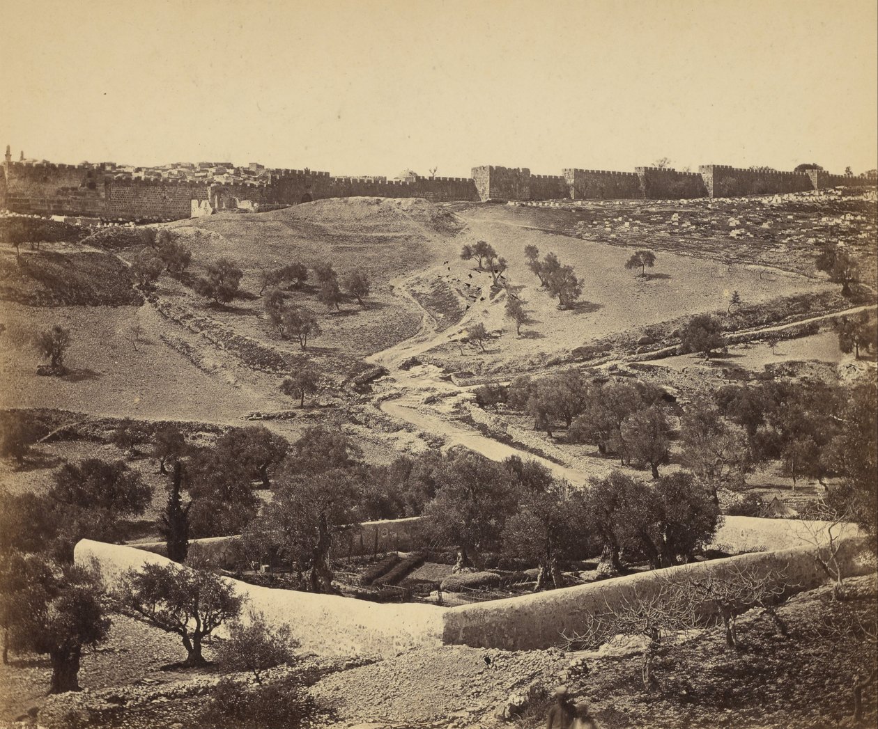 Jerusalem. Garten von Gethsemane von James Robertson