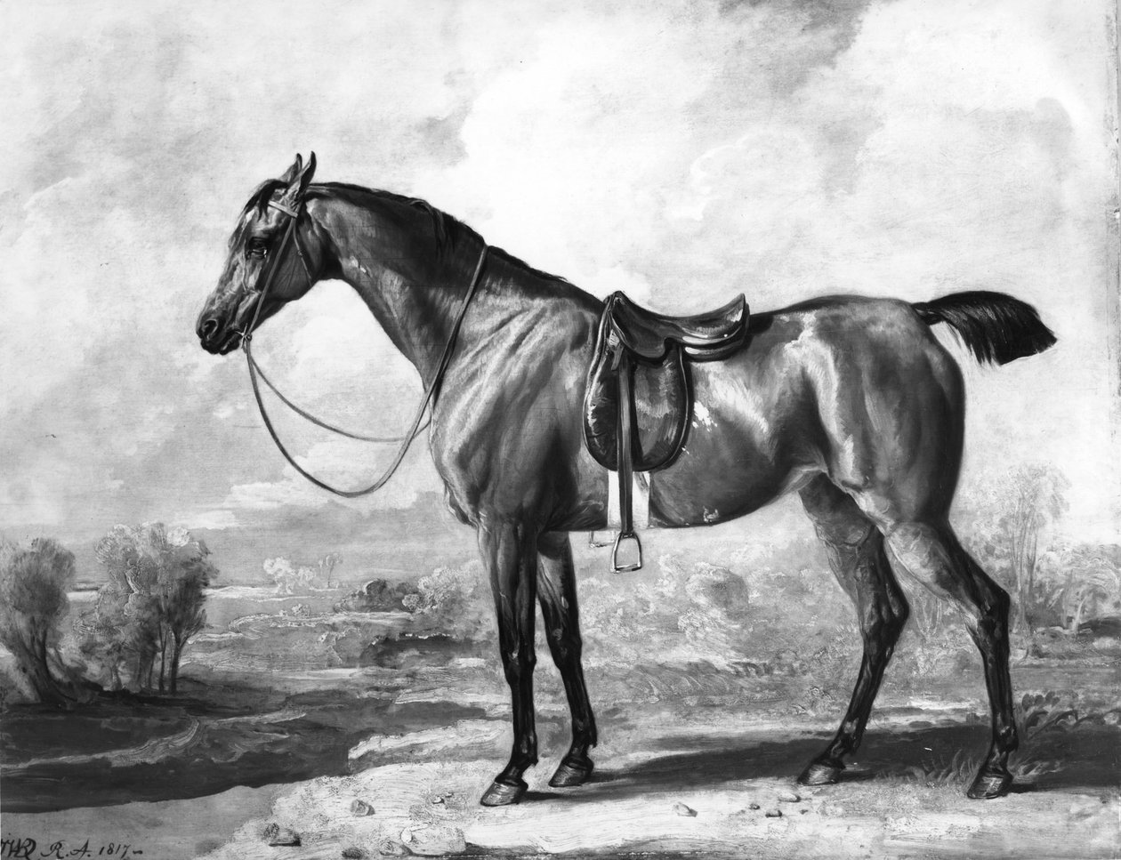 Brauner Jäger von James Ward