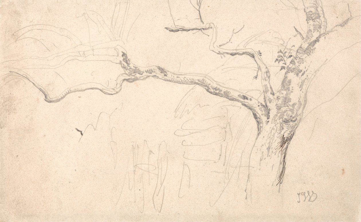 Baumstudie von James Ward