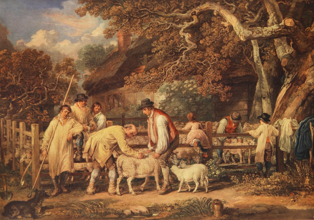 Schafschur, um 1820 von James (after) Ward