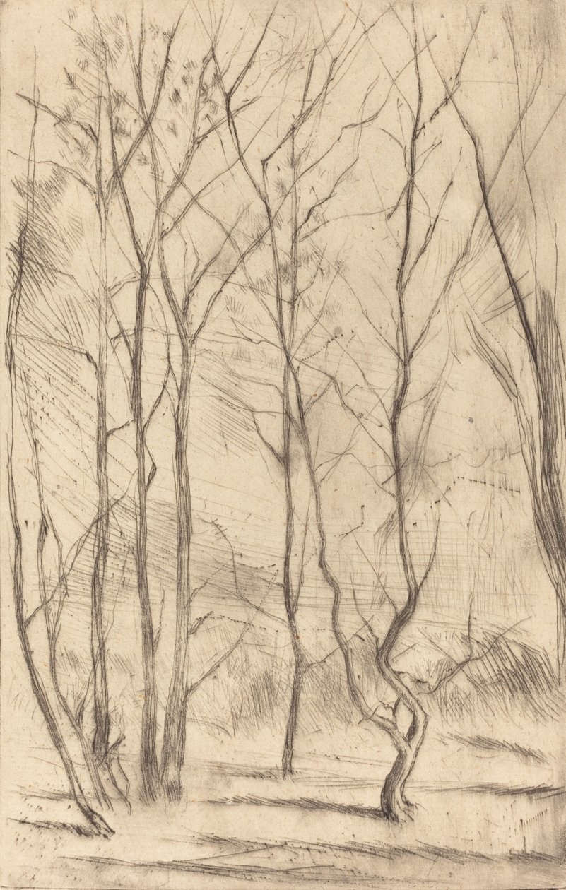Der Dam-Wald von James Abbott McNeill Whistler