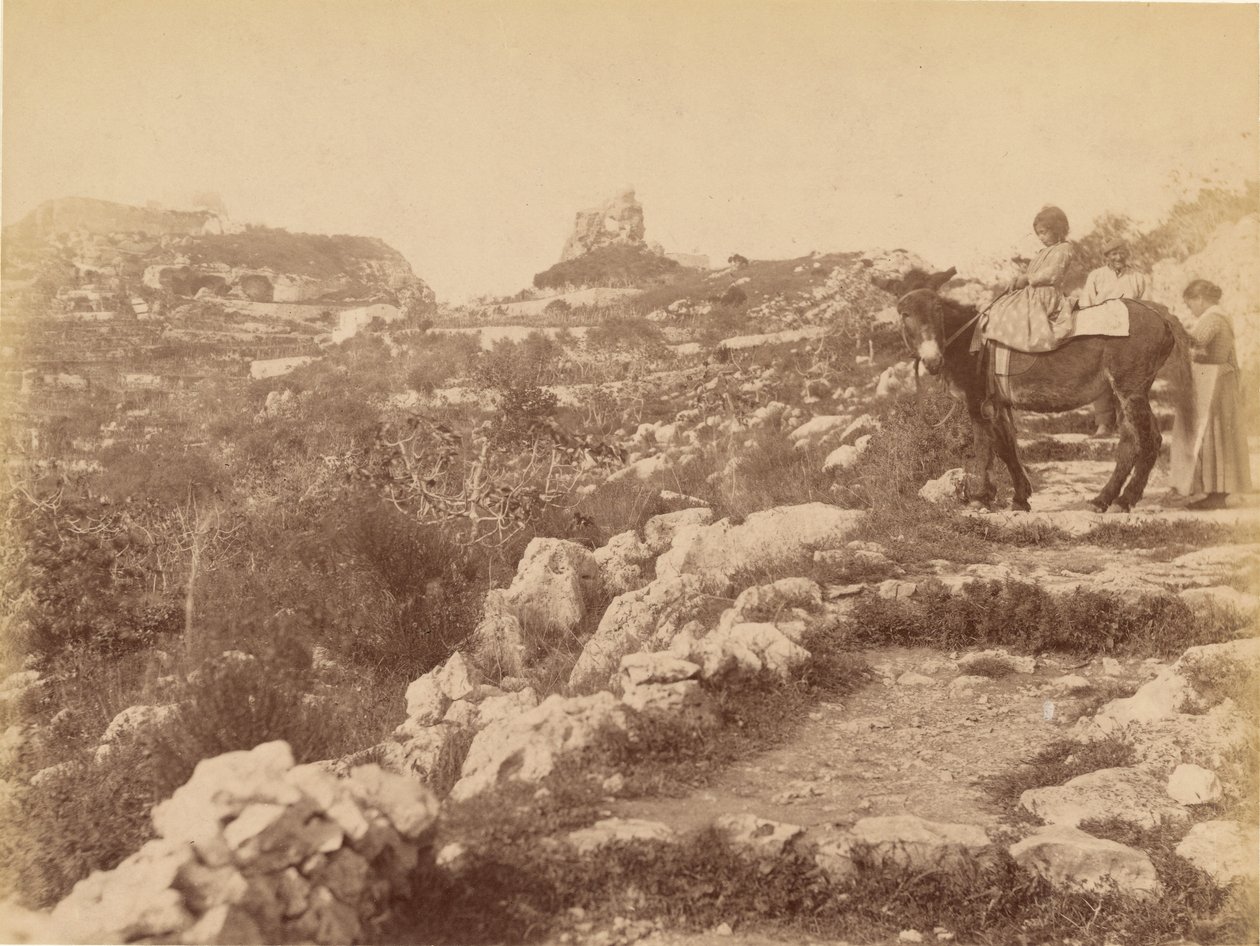 Capri [Kind auf Maultier] von James Anderson