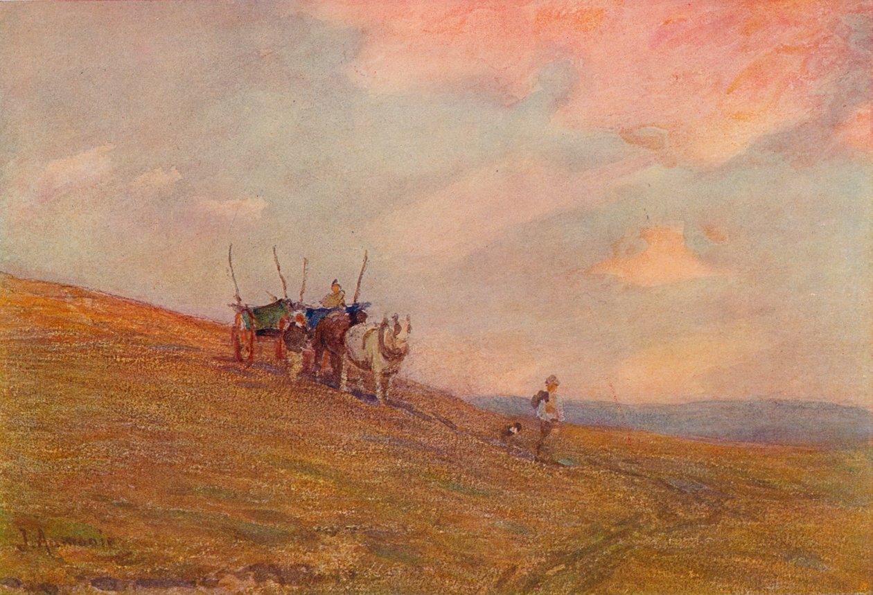 Auf den Downs in der Nähe von Harting, um 1870-1906, 1906 von James Aumonier