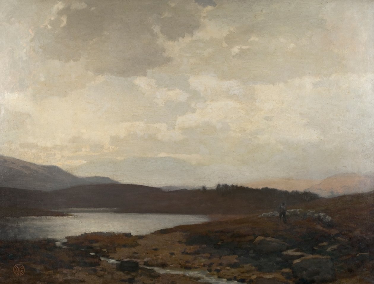 Dinnet Moor von James Cadenhead