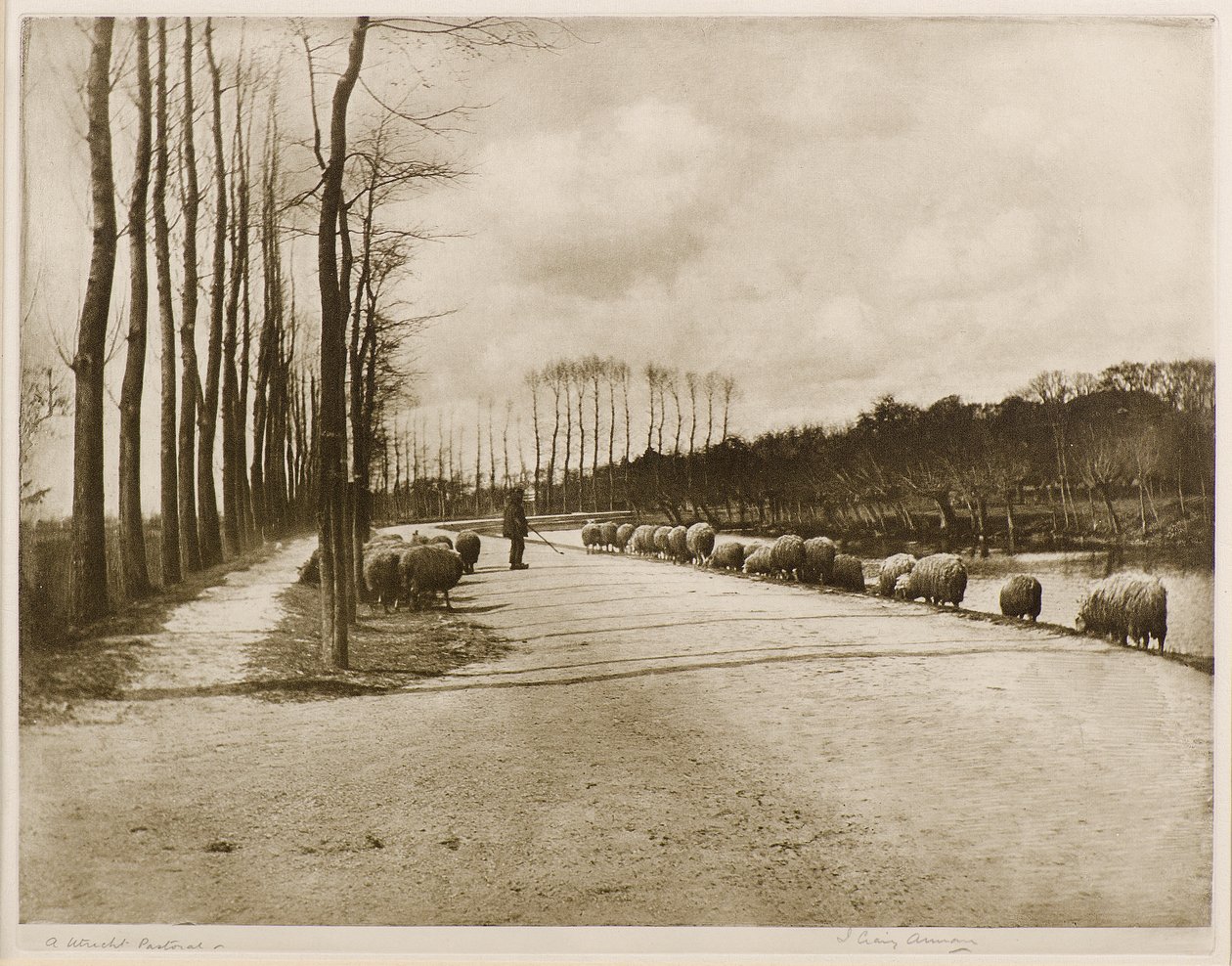 Eine Utrechter Pastorale von James Craig Annan