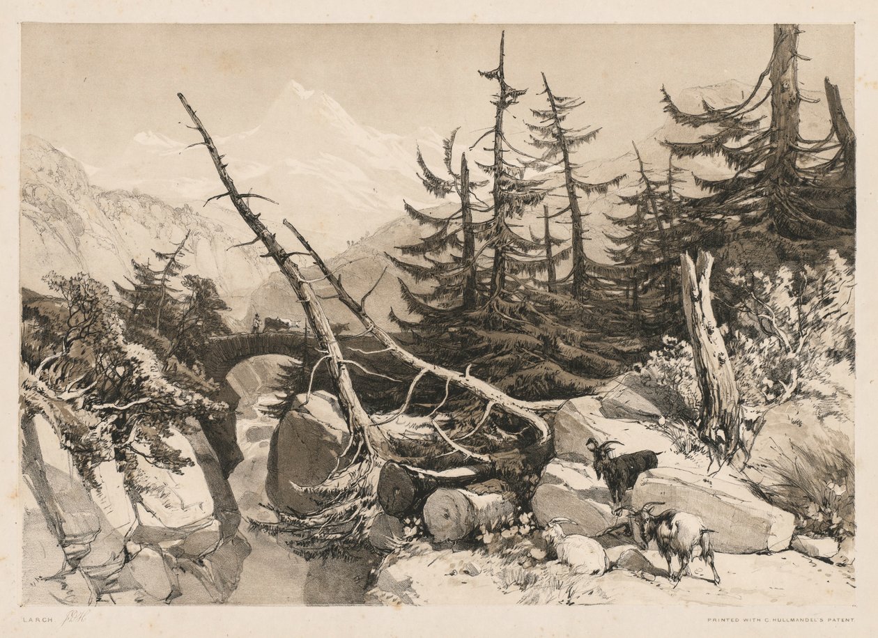 Kiefern und Brücke, 1841 von James Duffield Harding