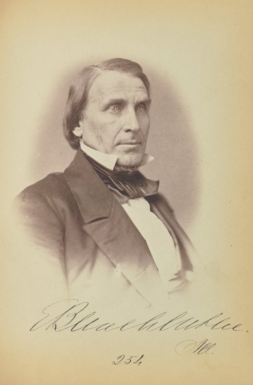 Elihu B. Washburne von James Earle McClees