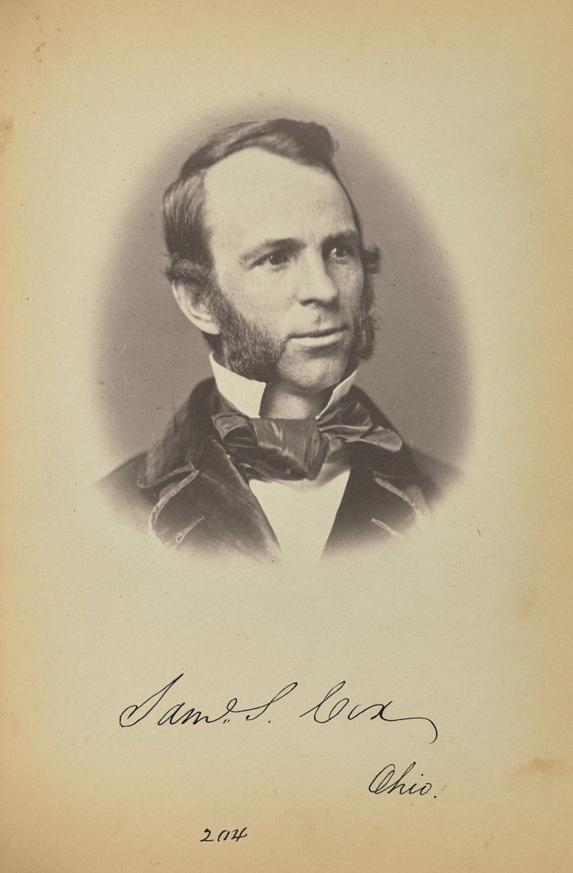 Samuel S. Cox von James Earle McClees