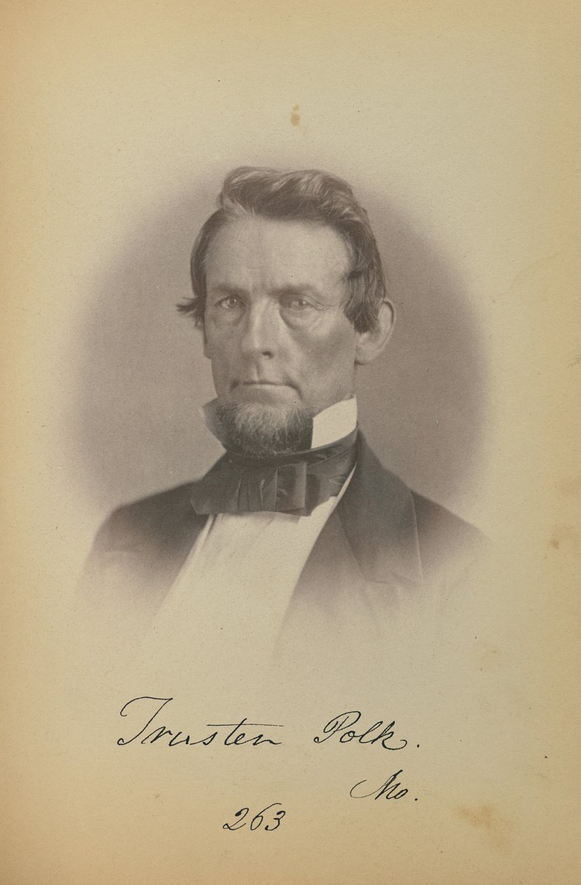 Trusten Polk von James Earle McClees