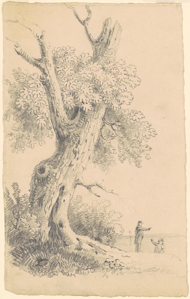 Baum in der Nähe des Ufers von James Goodwyn Clonney