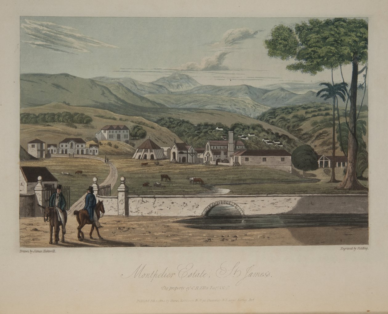 Montpelier Anwesen, St. James
