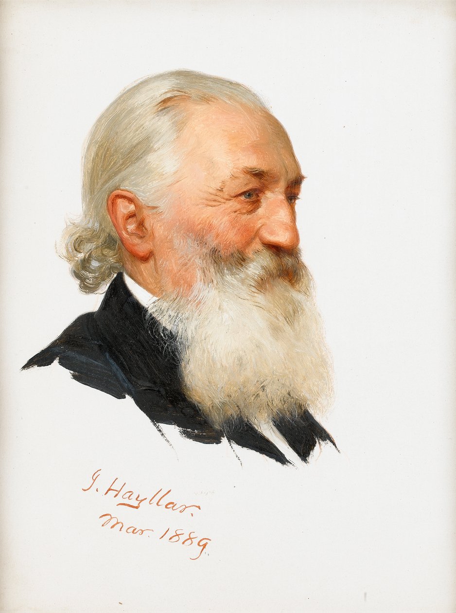 Studie eines bärtigen Herrn, 1889 von James Hayllar