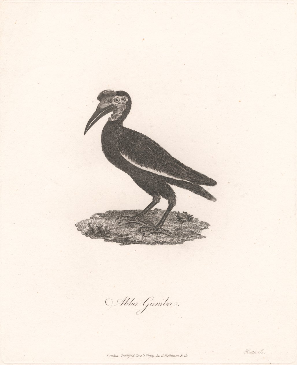 Abba Gumba von James Heath