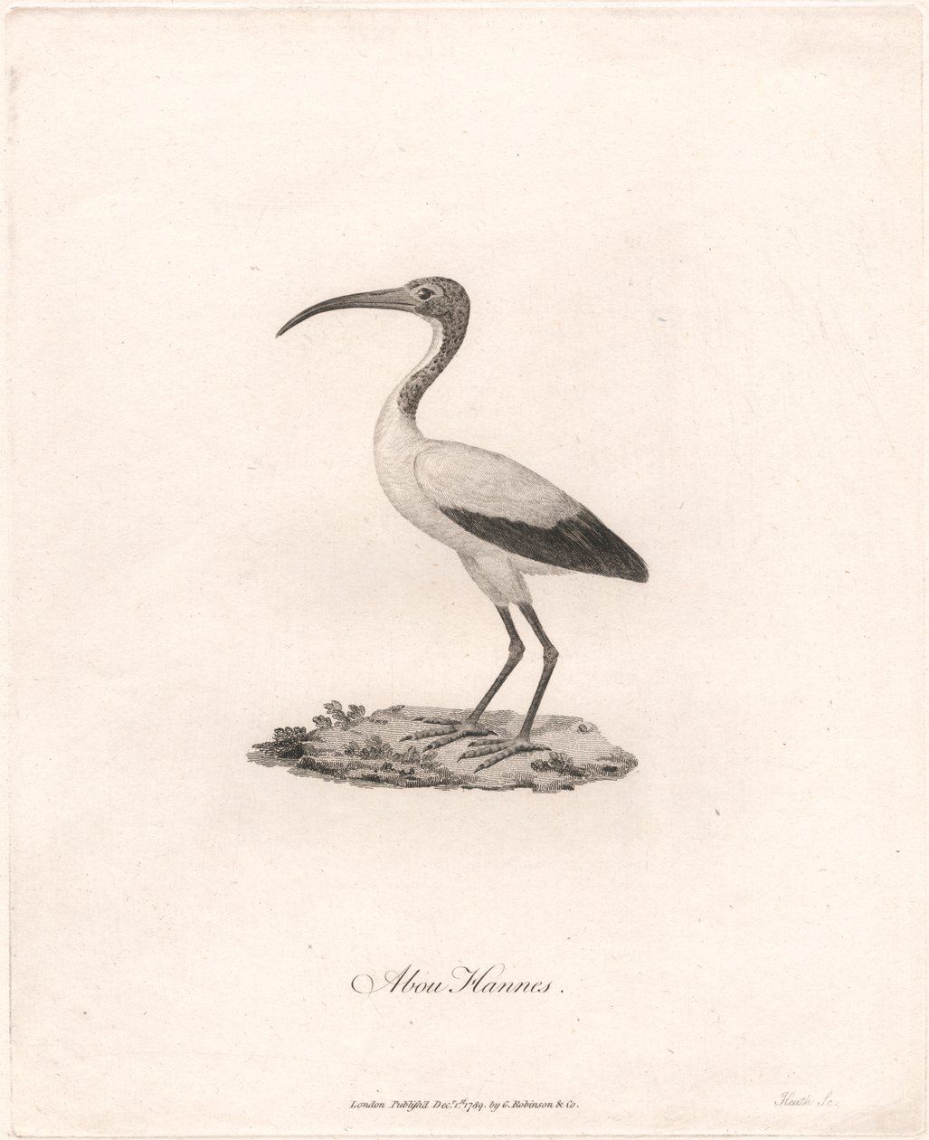 Abou Hannes von James Heath