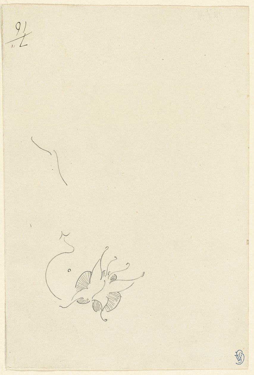 Schmetterling von James Abbott McNeill Whistler