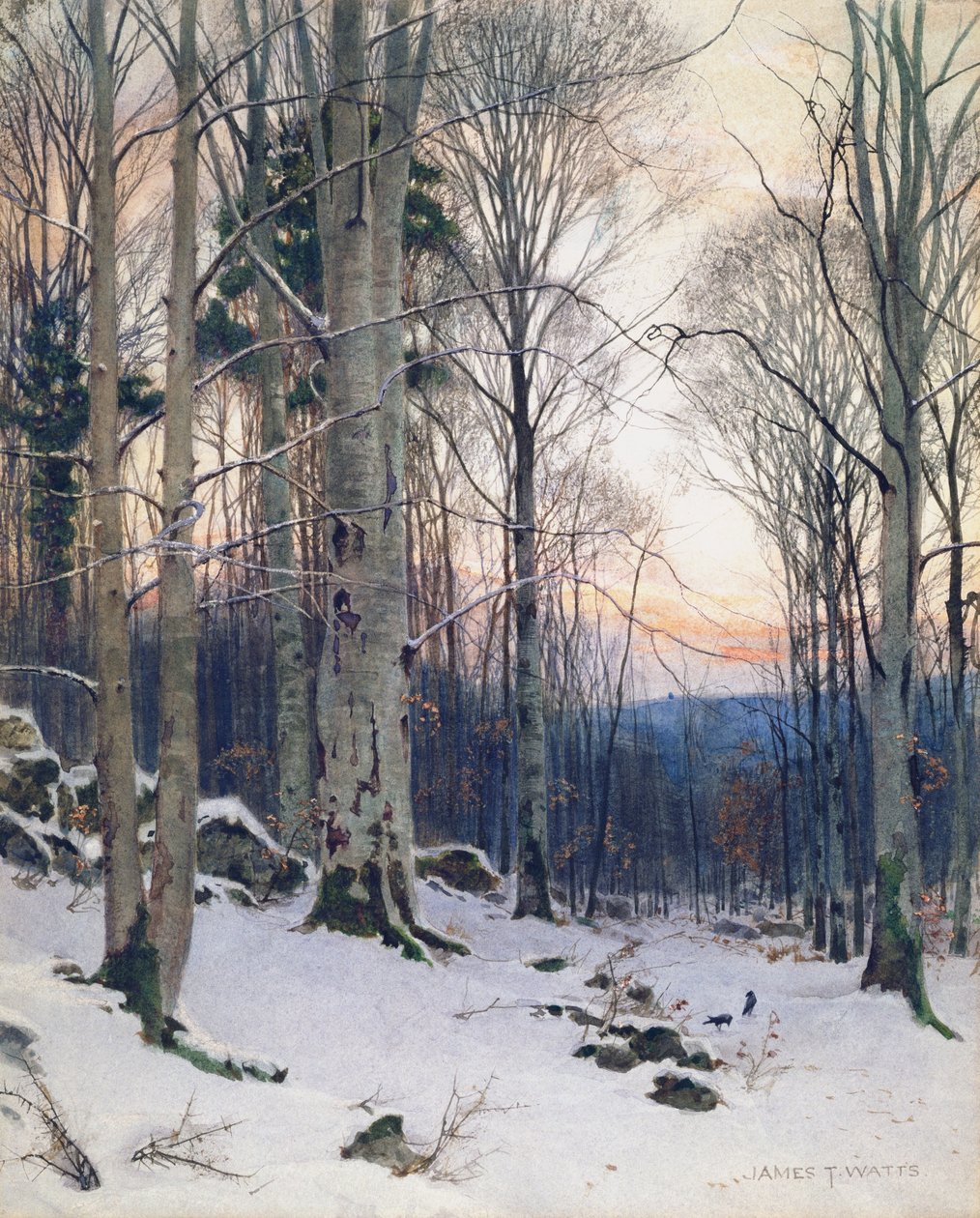 Dämmerung, Buchenwälder von James Thomas Watts