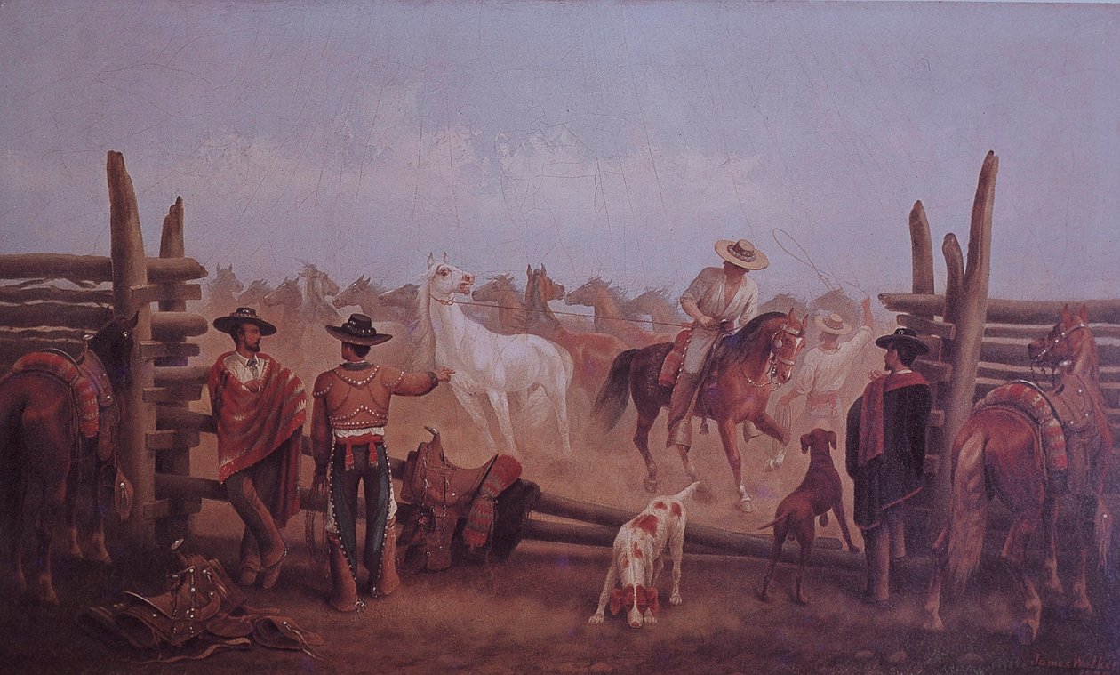 Tejano-Rancher von James Walker