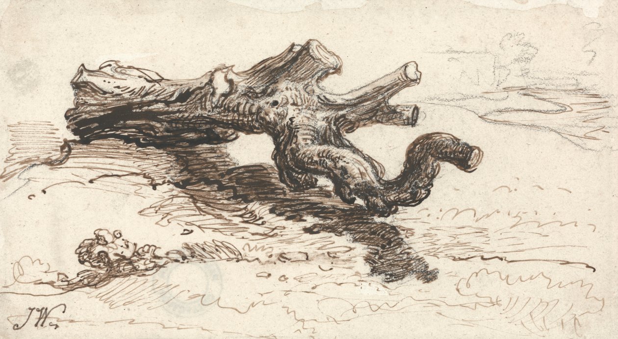 Ein Baumstamm auf dem Boden von James Ward