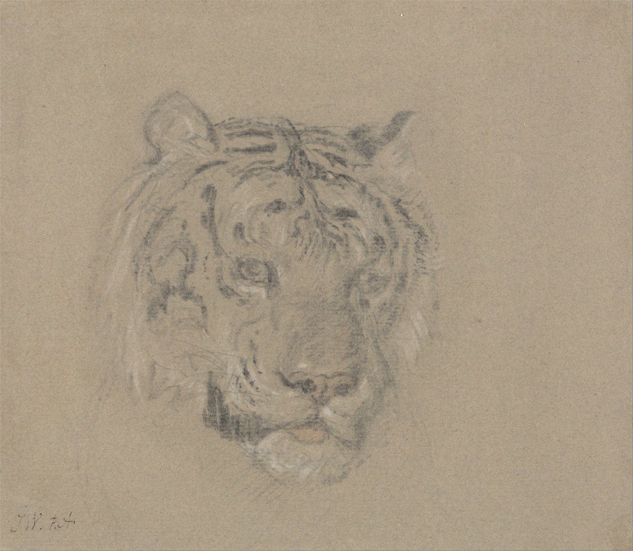 Kopf eines Tigers von James Ward