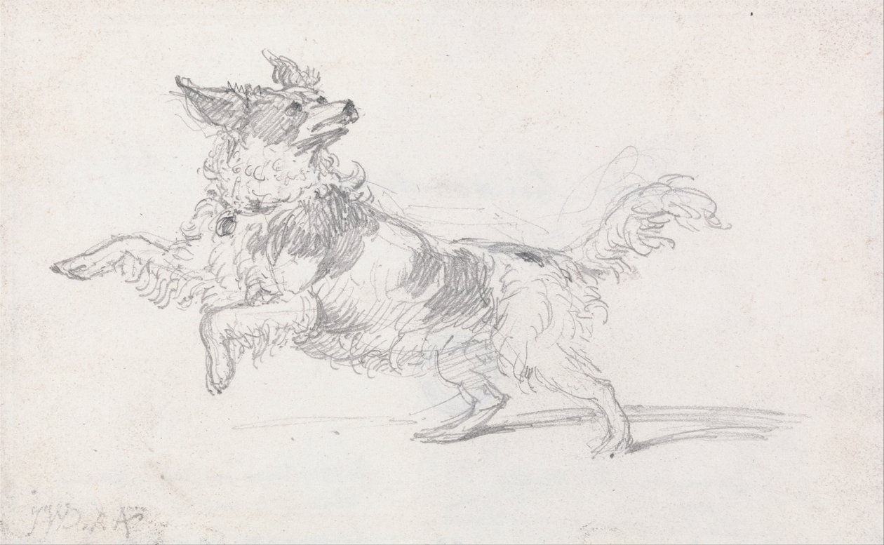 Lady Londonderrys Hund von James Ward