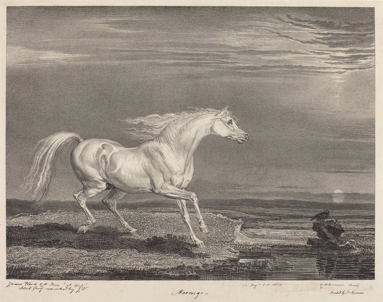 Marengo von James Ward