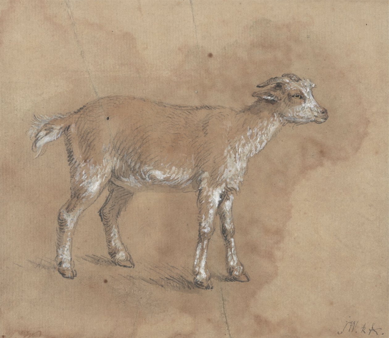 Studie eines Kitzes von James Ward