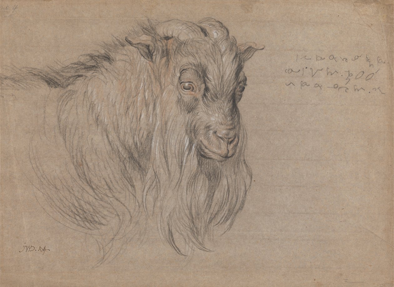 Studie des Kopfes eines Widders von James Ward