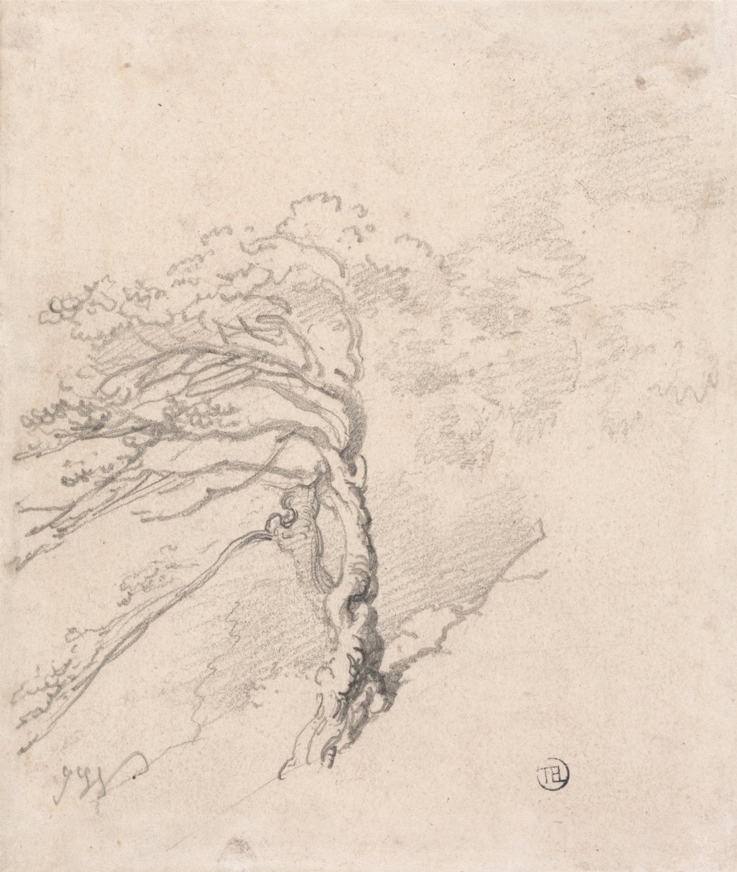 Baum auf einem Hügel von James Ward