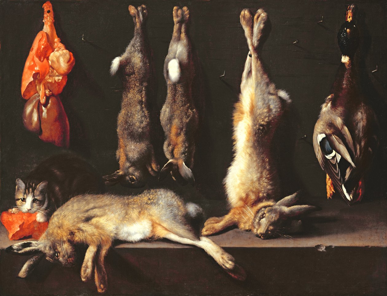 Stillleben, Wild von Jan Baptist Weenix