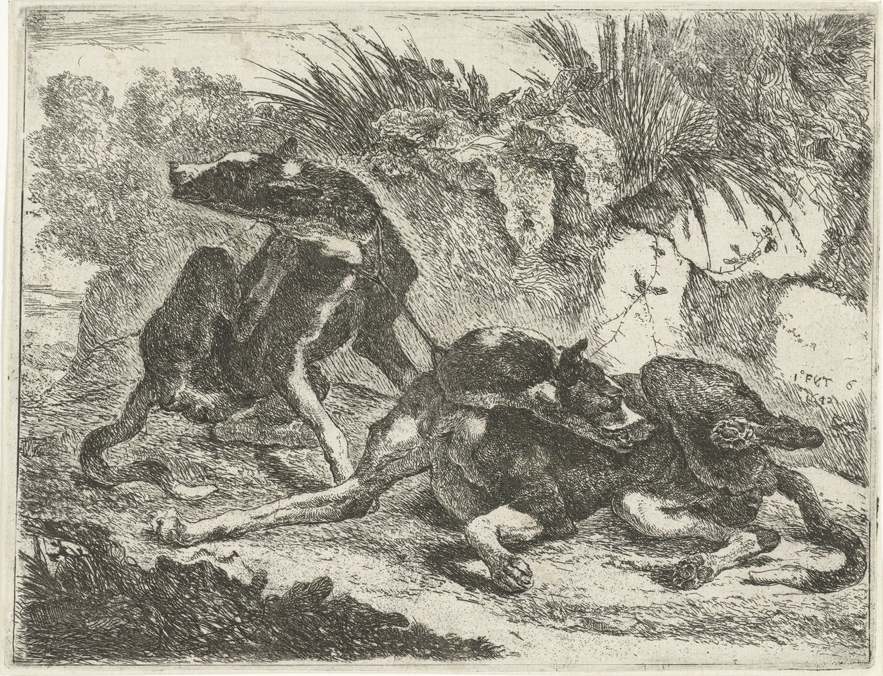 Zwei Hunde von Jan Fyt