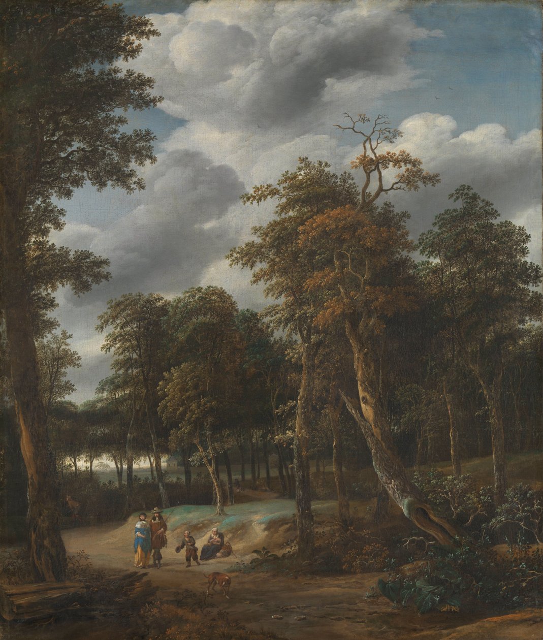 Waldweg von Jan Looten