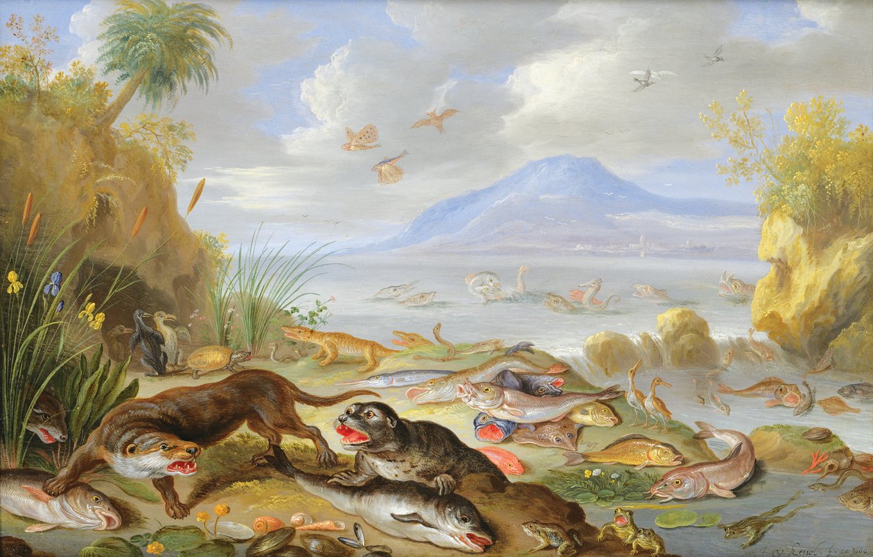 Das Element Wasser, 1660 von Jan van Kessel the Elder