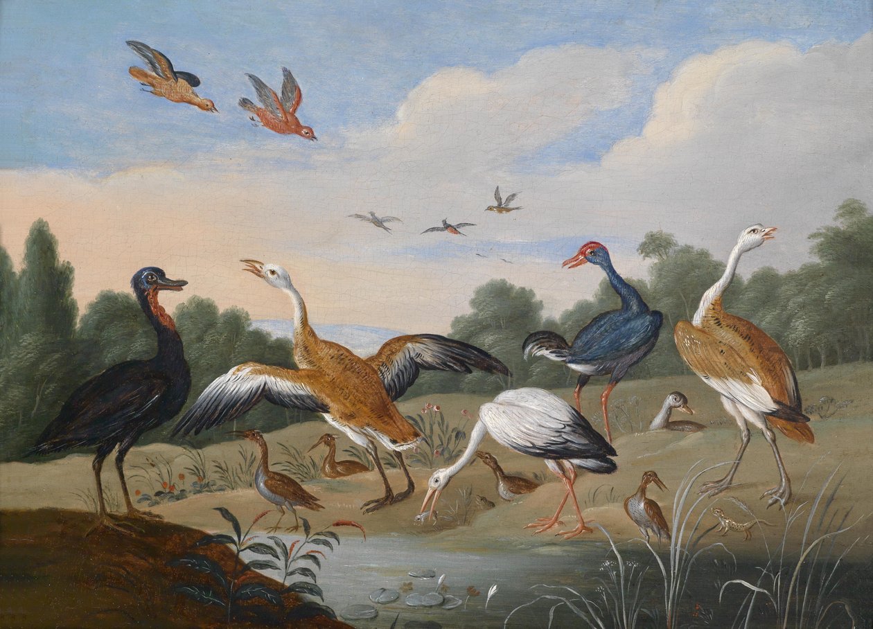 Reiher und Enten an einem Flusslauf von Jan van Kessel the Elder