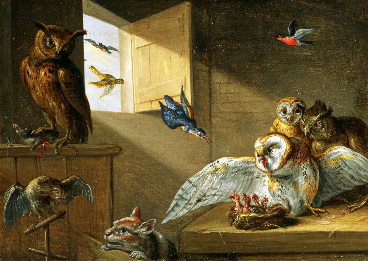 Eine Familie von Eulen, andere Vögel und eine Katze von Jan van Kessel the Elder