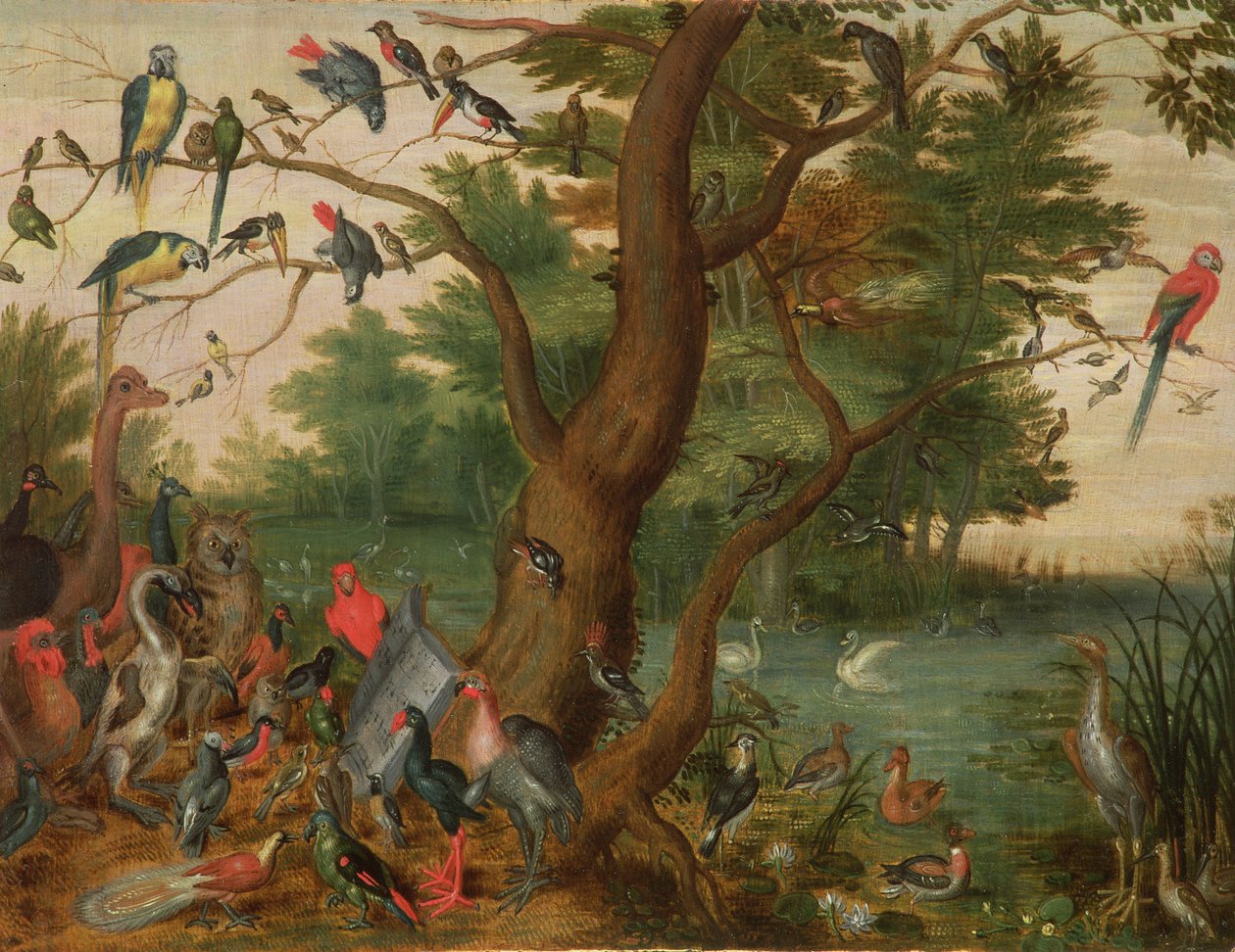 Konzert der Vögel von Jan van Kessel the Elder