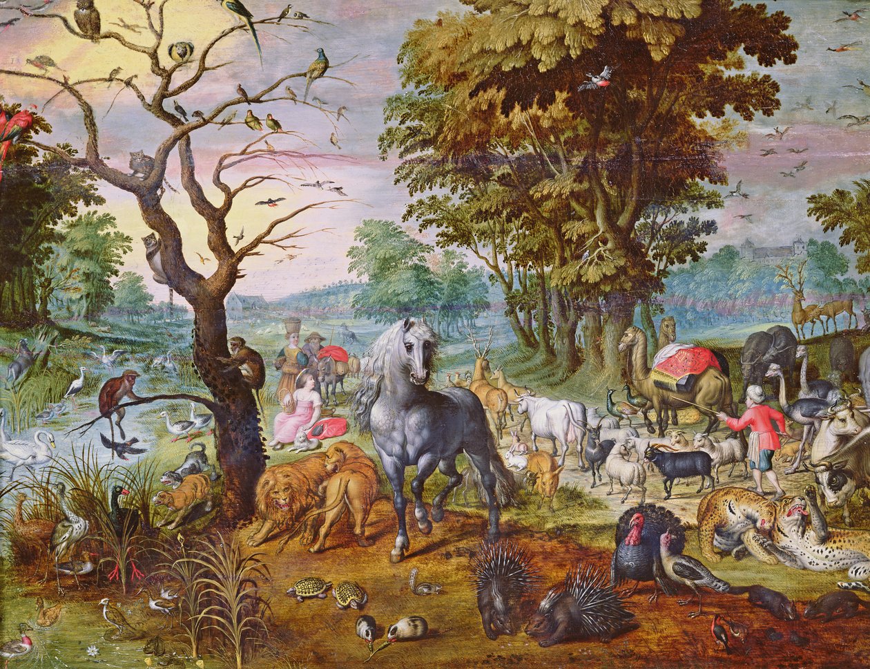 Der Eintritt in die Arche von Jan van Kessel the Elder