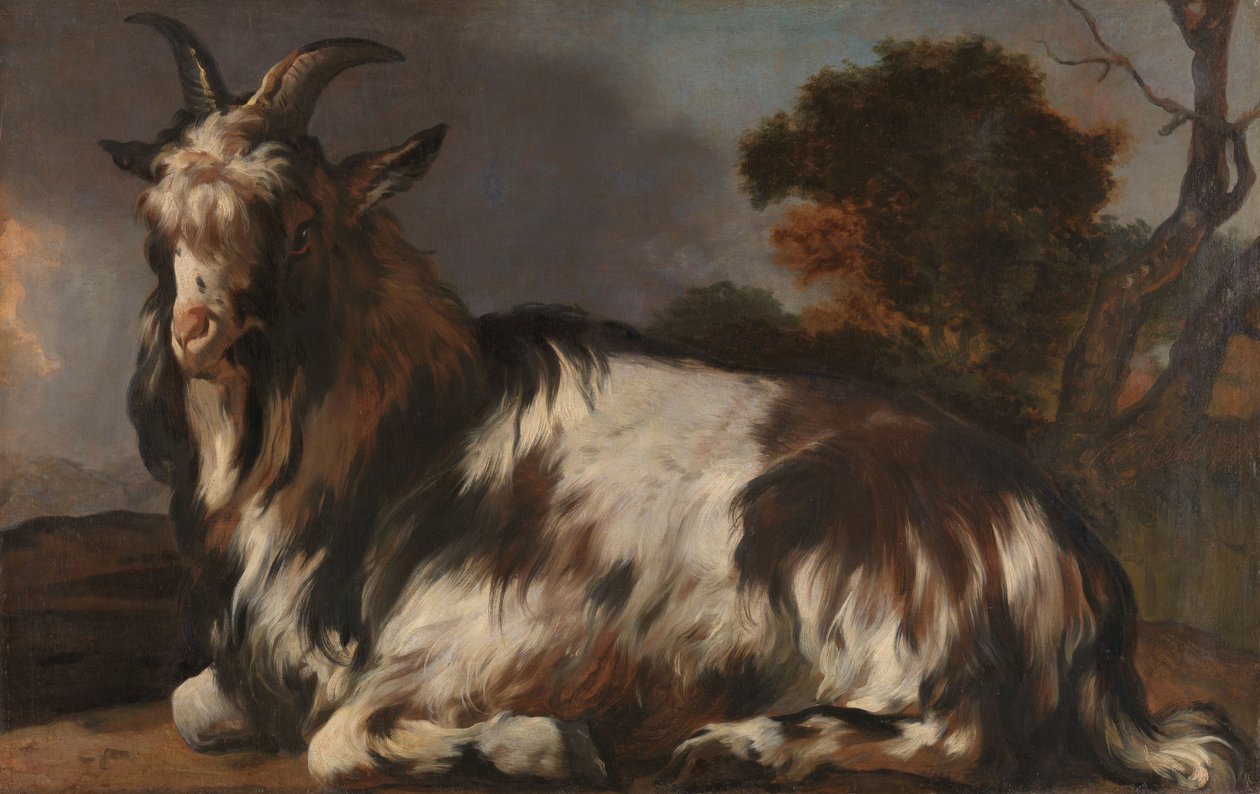 Liegende Ziege von Jan Baptist Weenix