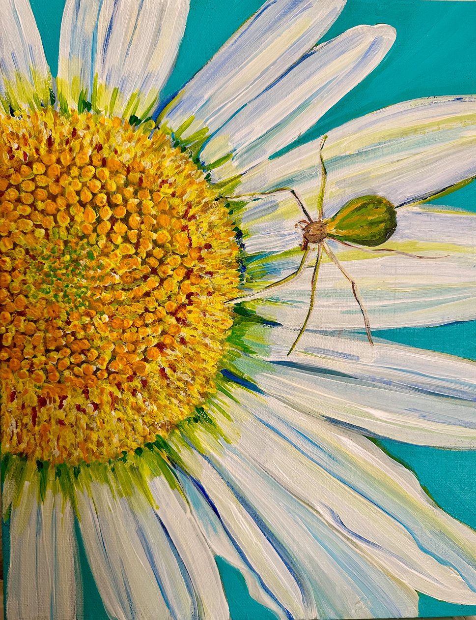 Wassermelonen-Spinne, 2023 von Jan Barzottini