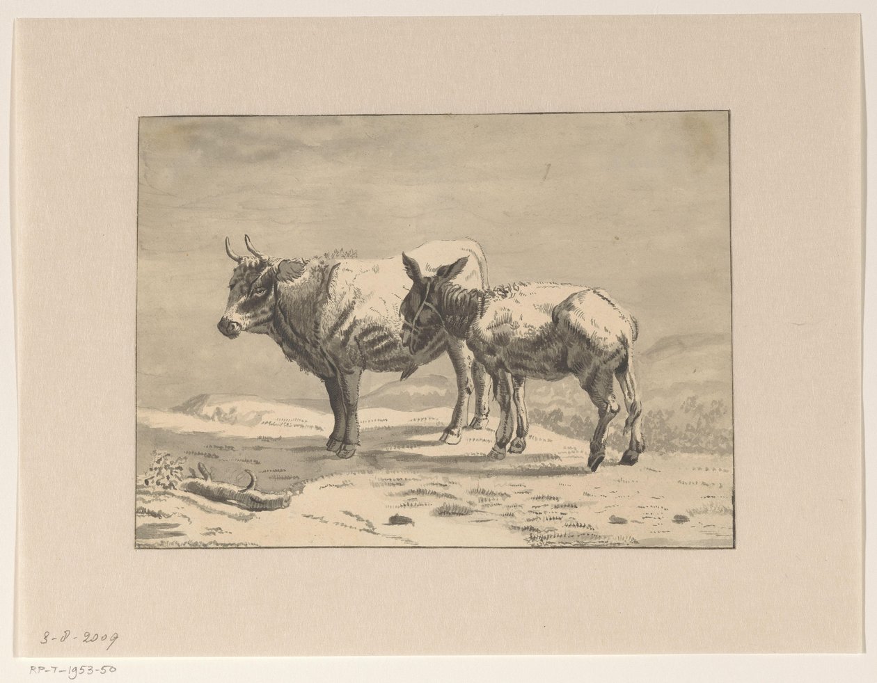 Stier und ein Esel von Jan Bedijs Tom