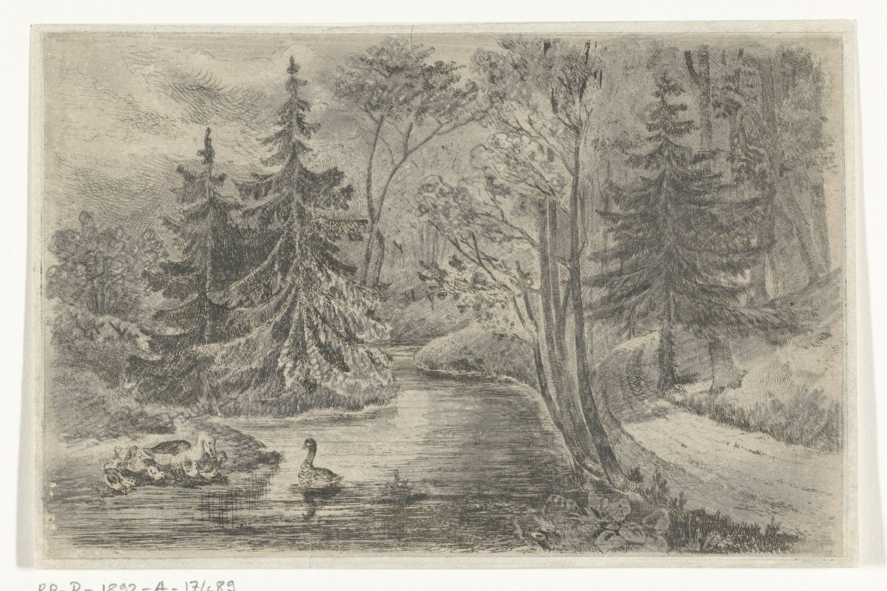 Waldweg bei einem Teich mit Enten von Jan Bos Wz.
