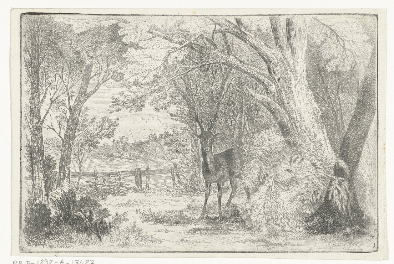 Parklandschaft mit Hirsch von Jan Bos Wz.