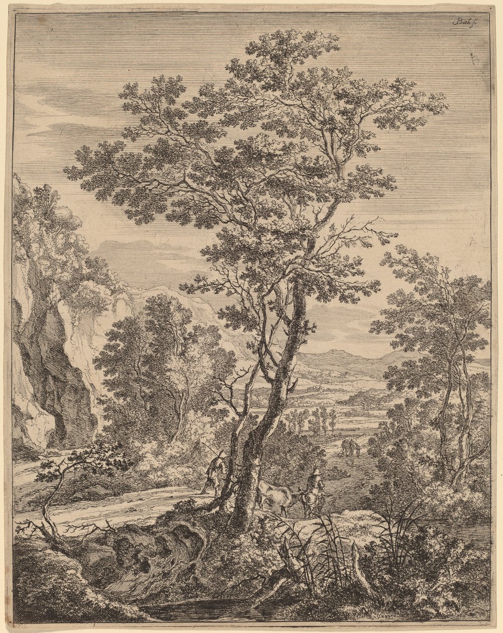 Der große Baum von Jan Both