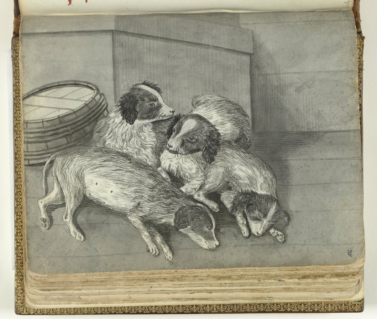 Hunde von Jan Brandes