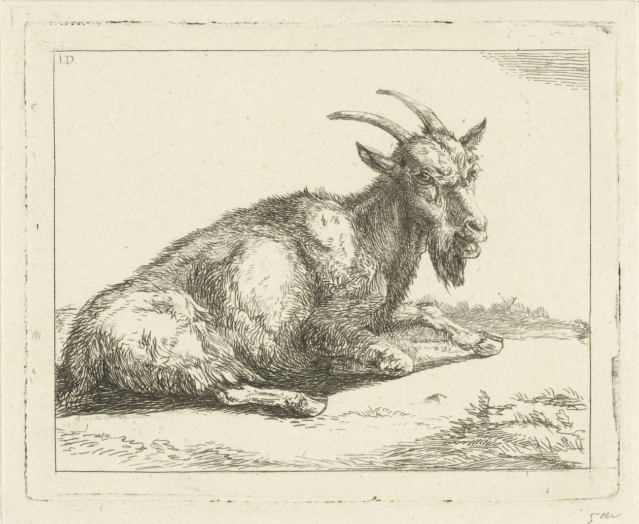Ziege von Jan Dasveldt