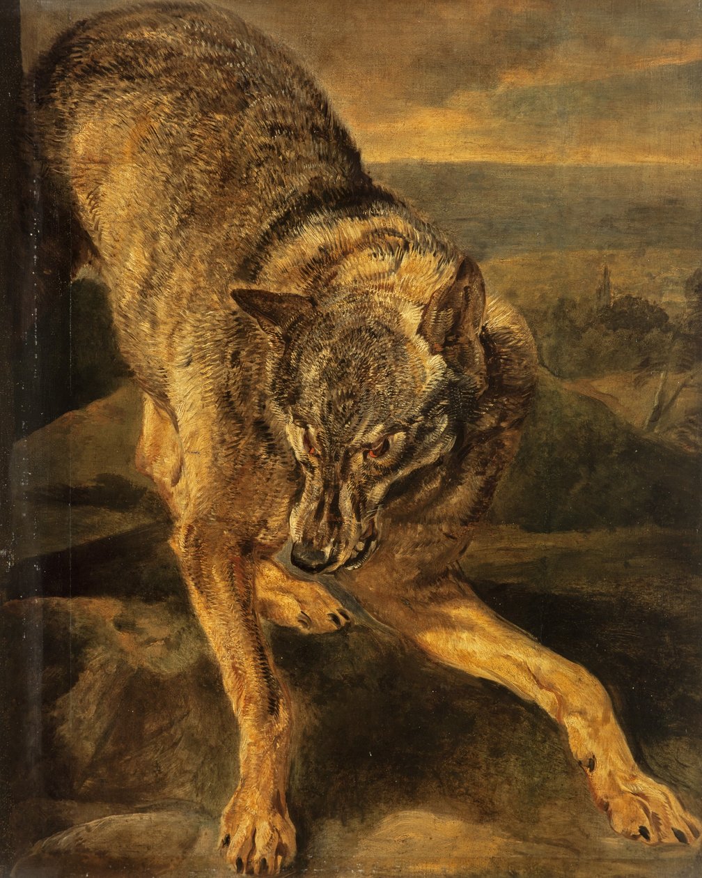 Ein Wolf von Jan Fyt