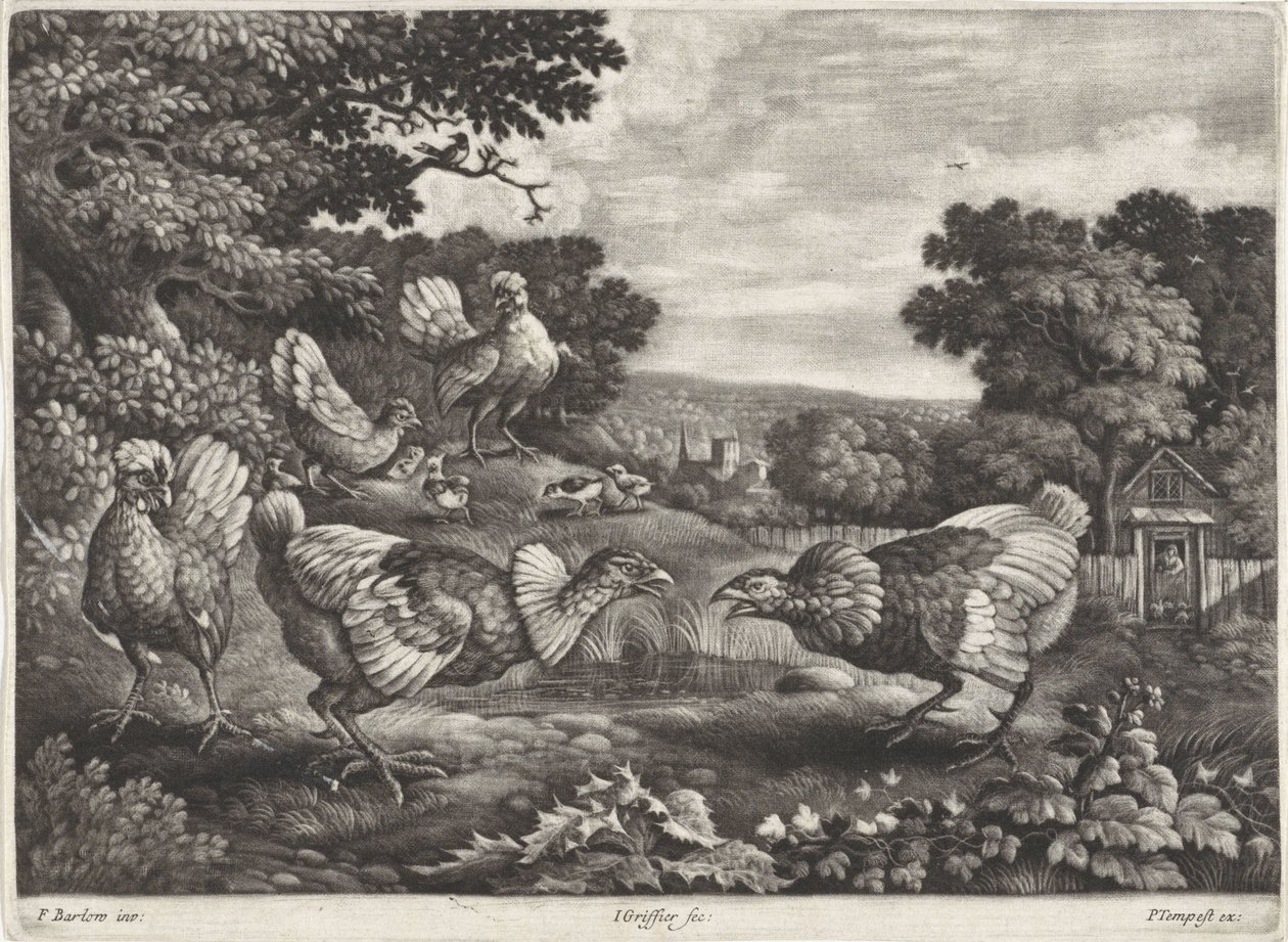 Kämpfende Hühner von Jan Griffier (I)